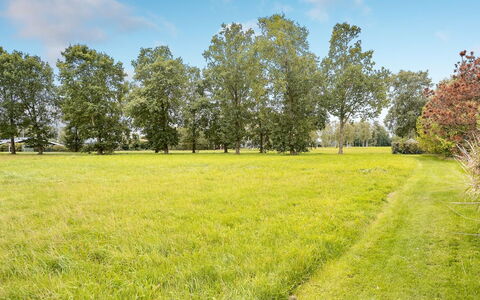 Armund - 300M from the Sea: Plantesamfund, Sollys, Urteagtig Plante, Have, Plantation, Landbrug, Farm