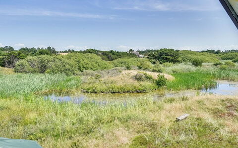 Inra - 400M from the Sea: Plantesamfund, Sollys, Urteagtig Plante, Have, Plantation, Landbrug, Farm