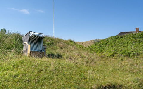 Mattias - 100M from the Sea: Græs, Græs-, Landskab, Økoregion, Almindeligt, Plantesamfund, Land Lot, Udendørs Møbler, Prærie, Shrubland
