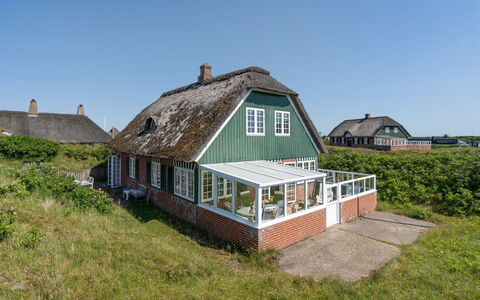 Mattias - 100M from the Sea: Græs, Græs-, Landskab, Økoregion, Almindeligt, Plantesamfund, Land Lot, Udendørs Møbler, Prærie, Shrubland