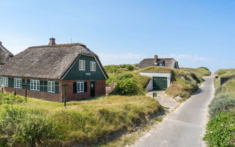 Mattias - 100M from the Sea: Græs, Græs-, Landskab, Økoregion, Almindeligt, Plantesamfund, Land Lot, Udendørs Møbler, Prærie, Shrubland