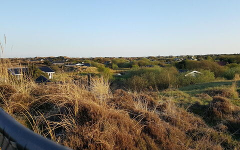 Gudrid - 500M from the Sea: Himmel, Blå, Vegetationen, Økoregion, Plantesamfund, Græs-, Shrubland, Sollys, Prærie