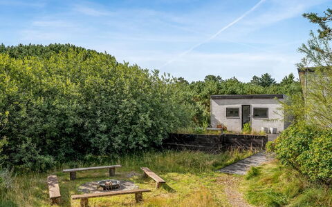 Julie - 1.5Km from the Sea: Vegetationen, Busk, Plantesamfund, Land Lot, Landdistrikt, Bunddække, Have, Eng, Shrubland