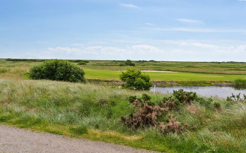 Akim - 2Km from the Sea: Himmel, Grøn, Græs, Naturligt Miljø, Græs-, Naturlige Landskab, Vegetationen, Økoregion, Sky