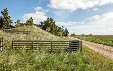 Jorinde - 2.8Km from the Sea: Græs, Græs-, Vegetationen, Naturlige Landskab, Økoregion, Landskab, Plantesamfund, Land Lot, Almindeligt, Sky