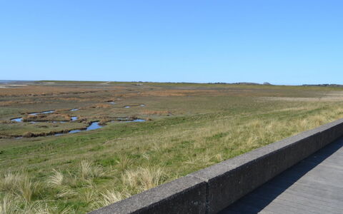 Leto - 2Km from the Sea: Estate, Farm