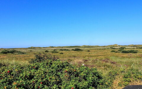 Alim - 300M from the Sea: Sommerhus, Skur, Hytte, Stuehus, Prærie, Hytte, Lade, Bjælkehytte, Garden Bygninger