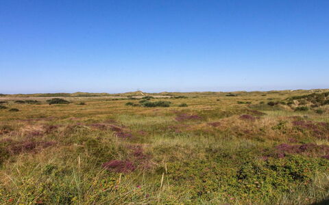 Alim - 300M from the Sea: Sommerhus, Skur, Hytte, Stuehus, Prærie, Hytte, Lade, Bjælkehytte, Garden Bygninger