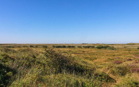 Alim - 300M from the Sea: Sommerhus, Skur, Hytte, Stuehus, Prærie, Hytte, Lade, Bjælkehytte, Garden Bygninger