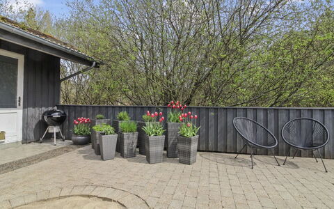 Vieno - 2.6Km from the Sea: Busk, Blomsterkrukke, Have, Bunddække, Backyard, Gård, Stueplante, Landscaping, Gårdsplads
