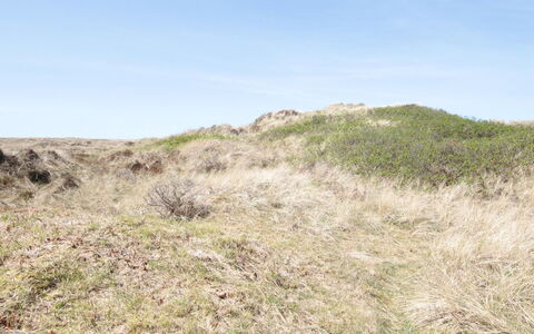 Aise - 75M from the Sea: Tag, Land Lot, Sommerhus, Hjem, Landdistrikt, Skur, Sidespor, Garden Bygninger, Bjælkehytte, Hytte