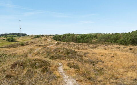 Reiko - 1.5Km from the Sea: Himmel, Græs, Naturligt Miljø, Græs-, Vegetationen, Økoregion, Horisont, Plantesamfund, Ødemark, Land Lot