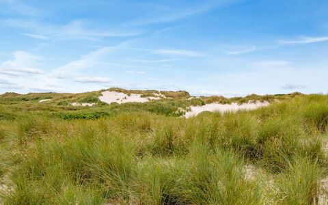 Nicolaus - from the Sea: Græs, Hus, Tag, Sommerhus, Hjem, Busk, Stuehus, Land Lot, Landdistrikt