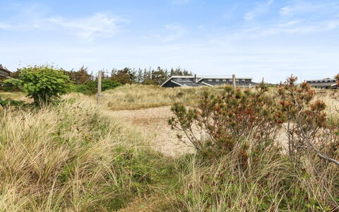 Svenne - 500M from the Sea: Plantesamfund, Sollys, Urteagtig Plante, Have, Plantation, Landbrug, Farm