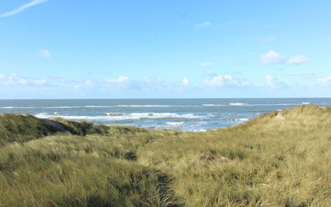Laetitita - from the Sea: Himmel, Blå, Horisont, Økoregion, Sky, Kyst, Hav, Coastal Og Oceaniske Landskabsformer, Græs-, Ocean