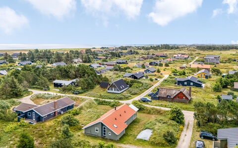 Gedda - 700M from the Sea: Plantesamfund, Sollys, Urteagtig Plante, Have, Plantation, Landbrug, Farm