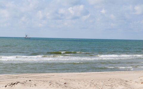 Lowe - from the Sea: Estate, Farm