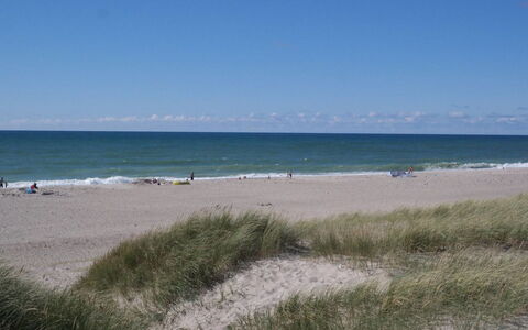Iines - 200M from the Sea: Blå, Strand, Krop Af Vand, Kyst, Naturligt Miljø, Horisont, Coastal Og Oceaniske Landskabsformer, Hav, Kyst