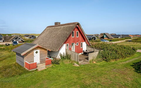 Iines - 200M from the Sea: Plantesamfund, Sollys, Urteagtig Plante, Have, Plantation, Landbrug, Farm