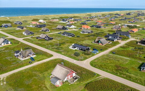 Iines - 200M from the Sea: Plantesamfund, Sollys, Urteagtig Plante, Have, Plantation, Landbrug, Farm