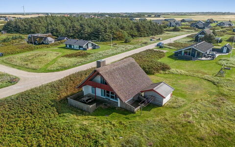 Iines - 200M from the Sea: Plantesamfund, Sollys, Urteagtig Plante, Have, Plantation, Landbrug, Farm