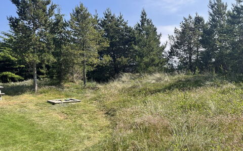Felicia - 800M from the Sea: Græs, Træ, Naturligt Miljø, Vegetationen, Græs-, Busk, Plantesamfund, Land Lot, Almindeligt, Pasture