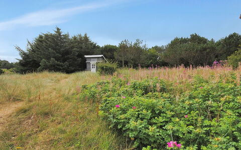 Dode - 225M from the Sea: Hus, Sommerhus, Tag, Garden Bygninger, Skygge, Skur, Backyard, Udendørs Møbler, Gård, Lawn