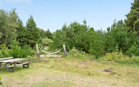 Elayne - 3Km from the Sea: Plantesamfund, Sollys, Urteagtig Plante, Have, Plantation, Landbrug, Farm
