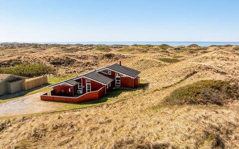 Ludviga - 400M from the Sea: Plantesamfund, Sollys, Urteagtig Plante, Have, Plantation, Landbrug, Farm