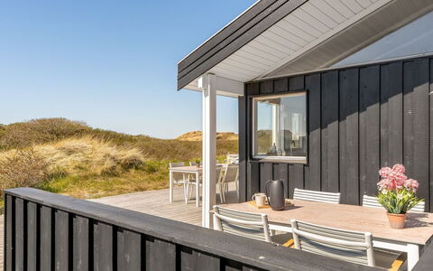 Annaliese - 175M from the Sea: Plantesamfund, Sollys, Urteagtig Plante, Have, Plantation, Landbrug, Farm