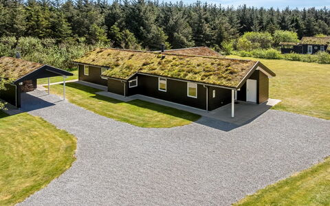 Ricus - 1.8Km from the Sea: Plantesamfund, Sollys, Urteagtig Plante, Have, Plantation, Landbrug, Farm