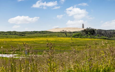 Ger - 200M from the Sea: Himmel, Græs, Grøn, Naturligt Miljø, Græs-, Vegetationen, Økoregion, Sky, Naturlige Landskab