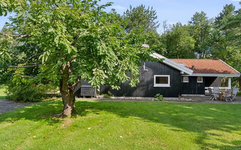 Batsha - 350M from the Sea: Afdeling, Busk, Skygge, Lawn, Have, Sommerhus, Backyard, Gård, Garden Bygninger, Landscaping