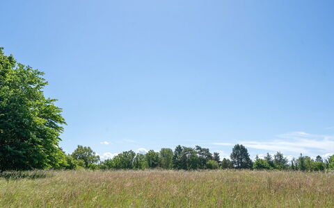 Naira - 1.8Km from the Sea: Træ, Tag, Arkitektur, Hjem, Hus, Sommerhus, Sidespor, Hårdttræ, Hældning, Estate