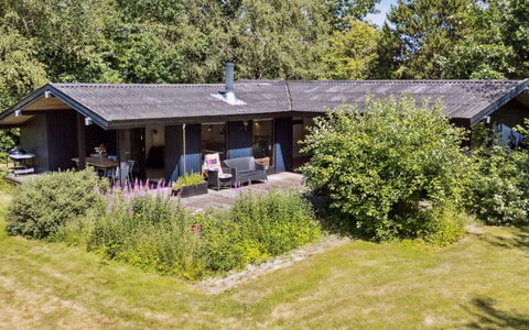 Lasse - 1.5Km from the Sea: Træ, Hus, Sommerhus, Hjem, Tag, Landdistrikt, Sidespor, Bjælkehytte, Garden Bygninger, Hårdttræ
