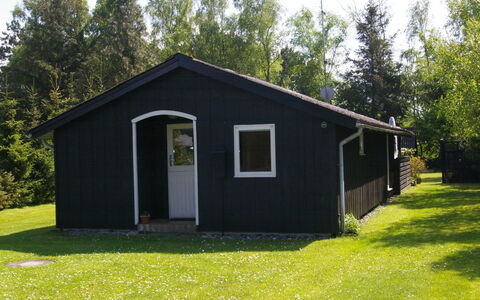 Gyri - 800M from the Sea: Vegetationen, Busk, Forår, Sommerhus, Have, Skygge, Backyard, Gård, Stol