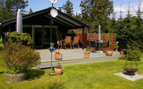 Gyri - 800M from the Sea: Vegetationen, Busk, Forår, Sommerhus, Have, Skygge, Backyard, Gård, Stol