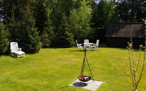 Gyri - 800M from the Sea: Vegetationen, Busk, Forår, Sommerhus, Have, Skygge, Backyard, Gård, Stol
