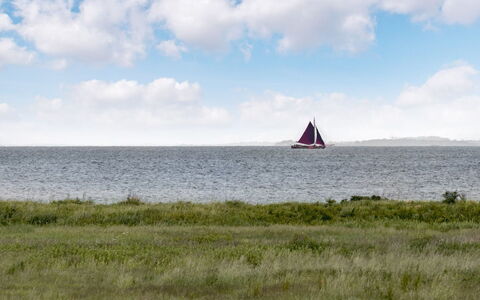 Alexis - 250M from the Sea: Himmel, Båd, Sejlbåd, Horisont, Økoregion, Vandfartøjer, Mast, Hav, Sailing