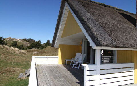 Esa - 500M from the Sea: Tag, Skur, Sommerhus, Garden Bygninger, Sidespor, Hårdttræ
