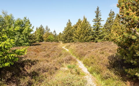 Atti - 2.5Km from the Sea: Tækning, Sommerhus, Hus, Tag, Hjem, Stuehus, Hytte, Estate, Landsby