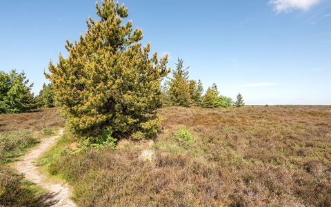 Atti - 2.5Km from the Sea: Tækning, Sommerhus, Hus, Tag, Hjem, Stuehus, Hytte, Estate, Landsby