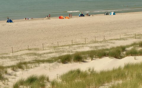 Hildegart - from the Sea: Græs, Busk, Hus, Have, Hjem, Sommerhus, Land Lot, Lawn, Bunddække