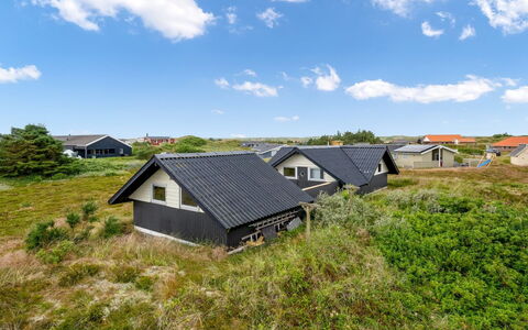Hildegart - from the Sea: Plantesamfund, Sollys, Urteagtig Plante, Have, Plantation, Landbrug, Farm