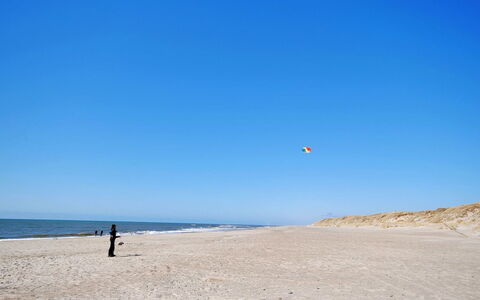Hildegart - from the Sea: Plantesamfund, Sollys, Urteagtig Plante, Have, Plantation, Landbrug, Farm