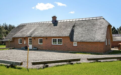 Jorkin - 1.8Km from the Sea: Plantesamfund, Sollys, Urteagtig Plante, Have, Plantation, Landbrug, Farm
