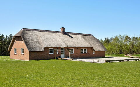 Jorkin - 1.8Km from the Sea: Plantesamfund, Sollys, Urteagtig Plante, Have, Plantation, Landbrug, Farm