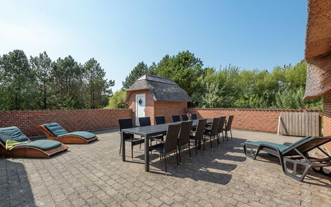Jorkin - 1.8Km from the Sea: Plantesamfund, Sollys, Urteagtig Plante, Have, Plantation, Landbrug, Farm