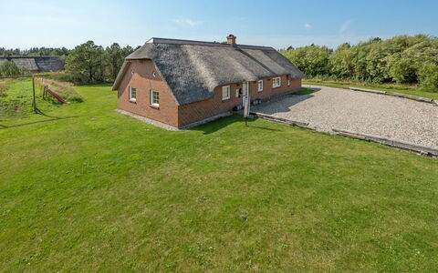 Jorkin - 1.8Km from the Sea: Plantesamfund, Sollys, Urteagtig Plante, Have, Plantation, Landbrug, Farm