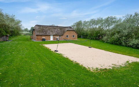 Benthe - from the Sea: Plantesamfund, Sollys, Urteagtig Plante, Have, Plantation, Landbrug, Farm